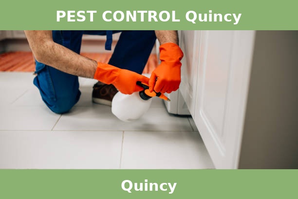 PEST CONTROL Quincy